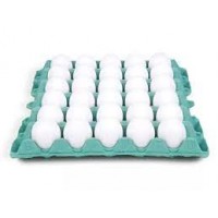 OVO BANDEJA COM 30