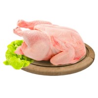 FRANGO RESFRIADO KG